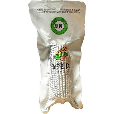榛纯甜糯儿童小玉米东北新粘苞米