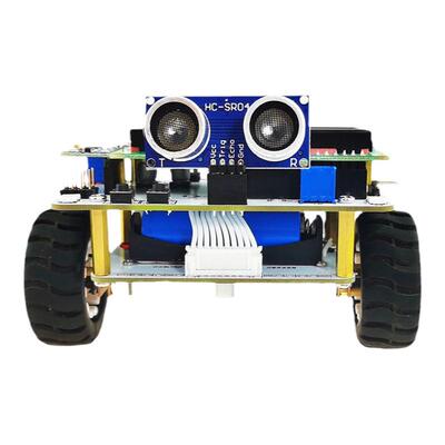 C51单片机两轮自平衡小车