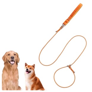 专业训犬防爆冲p绳小中大型犬金毛p链遛狗绳绳狗狗牵引绳防咬训练