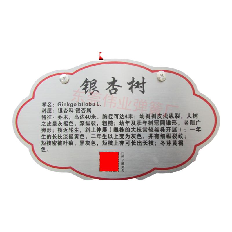 不锈钢弹簧公园不伤树伸缩拉簧