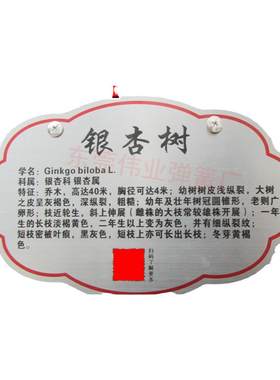 不锈钢弹簧公园不伤树伸缩拉簧