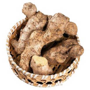 山东优质生姜老姜新鲜黄姜农家窖藏大姜月子姜生姜块老姜带泥现挖