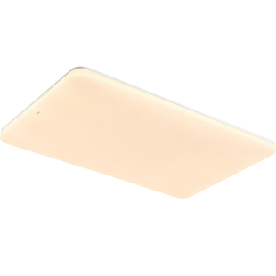 25新-欧普LED全光谱护眼灯具饰1.35米自建房超大客厅吸顶灯冰月TC