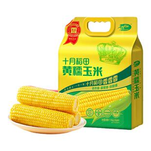 十月稻田黄糯玉米东北大棒玉米低脂新鲜真空装粘黏苞米220g*8/袋