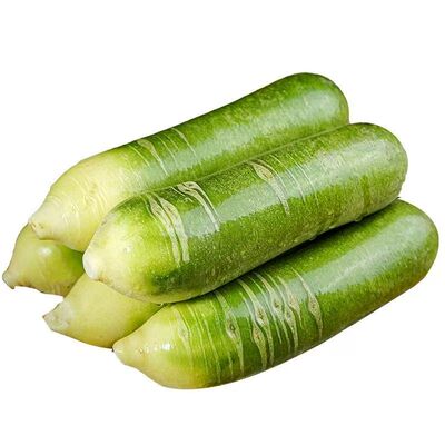 正宗潍坊生吃水果萝卜脆甜新鲜潍县特产冰激凌天星2号沙窝青萝卜