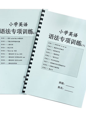 26小学英语语法专项训练题作业本大全20大语法知识点归纳总结讲义