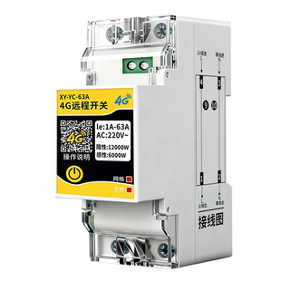 4G远程控制开关220v手机智能无线遥控热水器空调冰箱定时4g断路器
