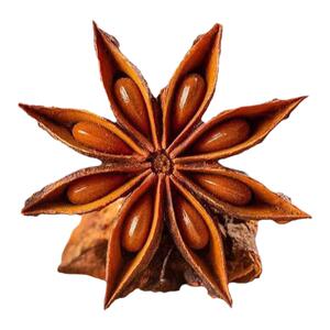 伊乃人家【八角大料】15g/包特级优质香料干货炒菜煲汤炖肉家用款