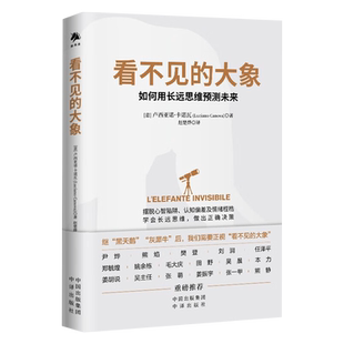 【现货正版】看不见的大象 如何用长远思维预测未来 卢西亚诺 卡诺瓦著 熊焰刘润任泽平郑毓煌姜振宇等推荐 中译出版社
