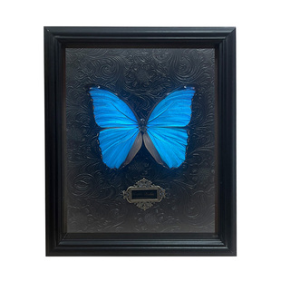 大蓝闪蝴蝶标本相框真玻璃送男女生老师展示框装饰画毕业生日礼物