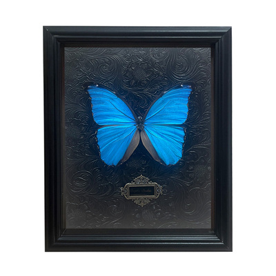 蝴蝶标本相框真玻璃装饰画