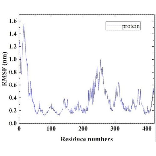 vina分子对接可视化 AlphaFold2/3预测 GROMACS分子动力学模拟