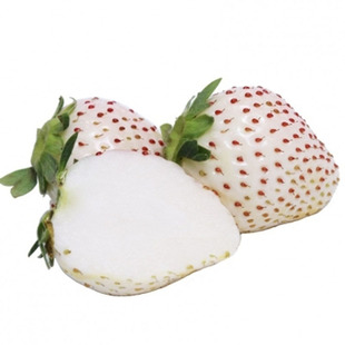 当季淡雪天使白草莓高端品种新鲜孕妇水果白雪公主甜顺丰包邮