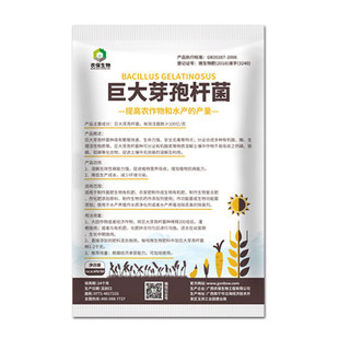 常规型 巨大芽孢杆菌改良土壤补充植物营养吸收分解土壤磷钾残留