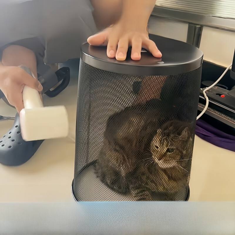 宠物烘干箱猫咪小型犬洗澡专用吹干神器家用吹风机防抓咬宠物吹毛