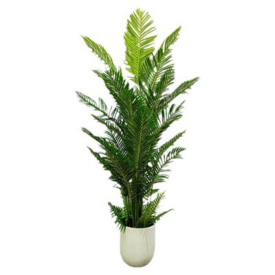 假树室内假植物装饰高仿真散尾葵