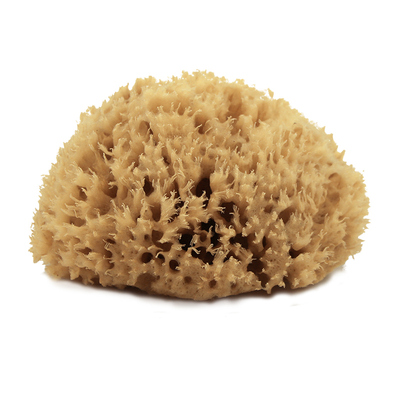 希腊进口天然蜂窝海绵原色沐浴球