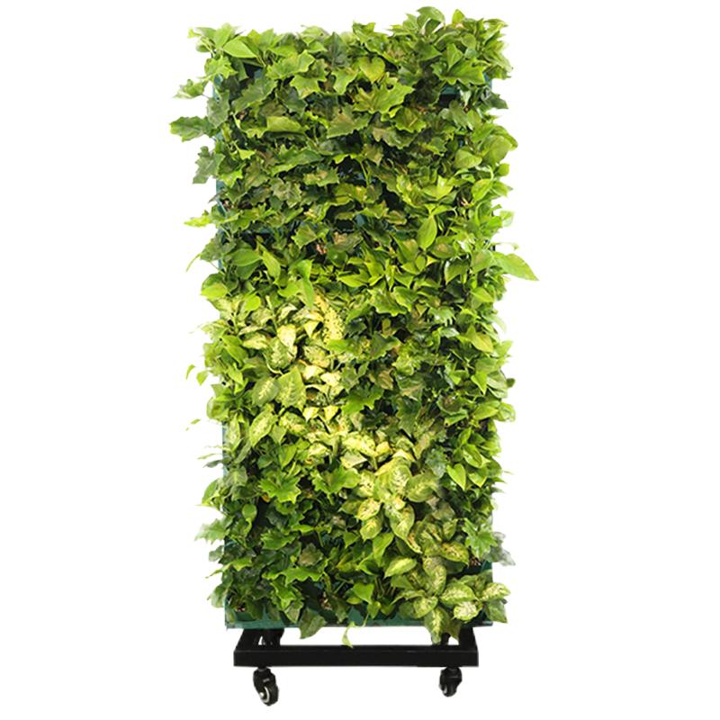 移动植物墙隔断立体种植落地花架