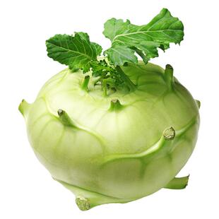 青苤蓝种子疙瘩四季蔬菜种籽南方春播菜种丕蓝种孑农家冬季春季