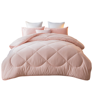 被子被芯冬被春秋被单人学生宿舍冬季加厚保暖棉被空调被夏凉被