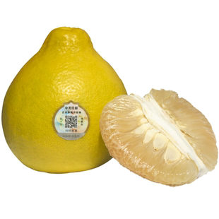 正宗广西容县沙田柚乾隆柚新鲜柚子水果当季孕妇蜜味纯甜包邮