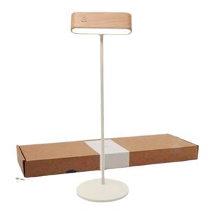 轻奢极简充电学习护眼小台灯艺术感卧室电脑桌阅读原木床头灯复古