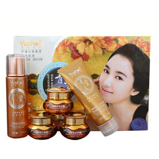 雨莎青花瓷五件套 抗氧化日晚霜五合一祛黄化妆护肤品 包邮