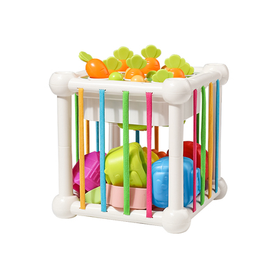 【早教启蒙】益智塞塞乐