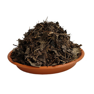 君子兰专用土精品腐叶土橡树叶腐熟松针营养土透气生根专用种植土