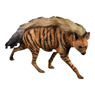 JXK 1/6 非洲二哥条纹斑鬣狗模型树脂仿真动物高端摆件配兵人手办