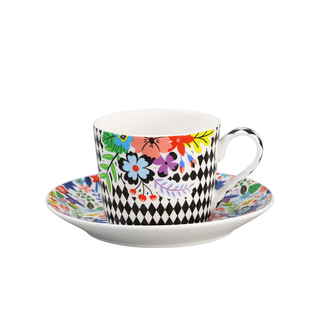 斯达高stechcol 爱丽丝的花园骨瓷咖啡杯碟欧式小奢华下午茶具