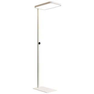 箭牌眼卫士中科稀土护眼AI智能落地灯大路灯防控近视学习落地台灯