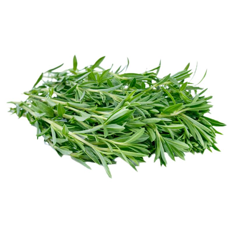 香草种子香辛料蔬菜Herb薄荷迷迭香香茅罗勒洋甘菊鼠尾草牛至欧芹