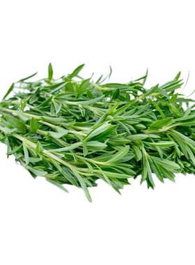 香草种子西餐香辛料Herb蔬菜籽