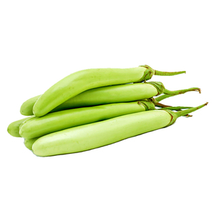 绿长茄子种籽种子苗绿茄子青圆茄青皮四季秧苗绿茄蔬菜秧孑茄苗