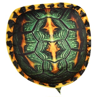 创意仿真乌龟壳抱枕毛绒玩具可穿戴龟壳玩偶女生布偶娃娃表演道具