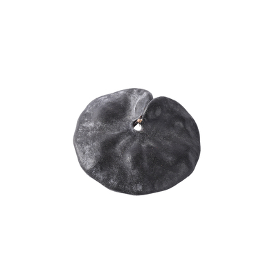 天然象耳豆植物种子豆科类