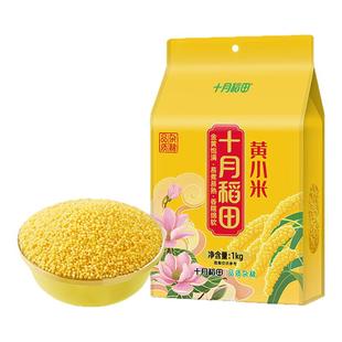 十月稻田黄小米五谷杂粮1kg小米粥粗粮米早餐米油米香2斤真空