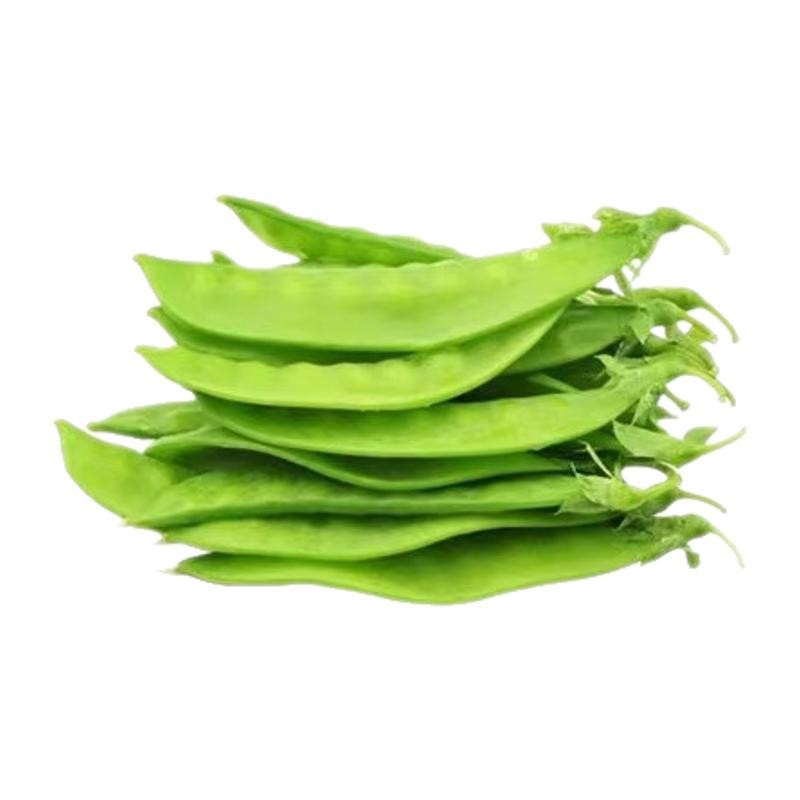 新鲜荷兰豆现摘甜豌豆荚农家自种当季时令蔬菜脆豆角