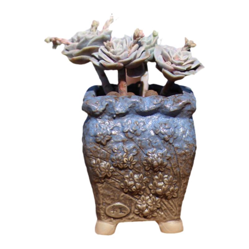 浮雕粗陶花盆新品福利价