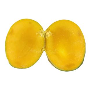 四季芒果苗红芒芒果树香蜜味肉香浓甜盆栽地种东莞15年淘宝老店