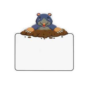 打地鼠识字游戏可擦写空白认知卡片英语单词课堂教学教具早教玩具