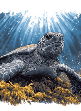 家用防水贴纸，撕贴方便不留痕