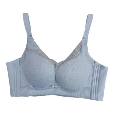 内衣都市丽人无木代尔聚拢