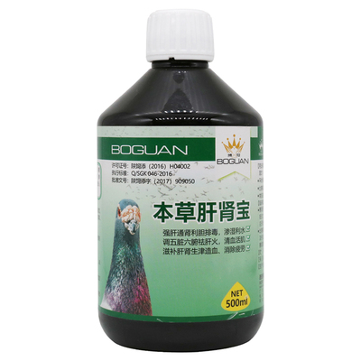 搏冠鸽药本草肝肾宝500ml