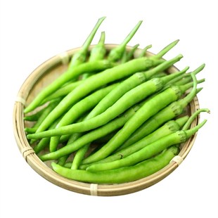 杭椒一号辣椒种子辣味高产蔬菜种籽四季春季夏秋冬播种超辣朝天椒