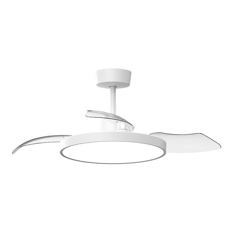 С�� �׼ҷ��ȵƵ��ȵ� 42Ӣ�� �����ִ���Լ �Ͳ������ҵ� 440.77Ԫ��Ʒ���Ͻ�ֱ�����µ�