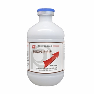 恩诺沙星口服液兽用溶液宠物猫狗狗用仓鼠兔子芦丁鸡鸽药拉稀咳喘