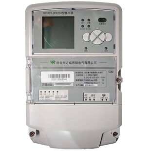 烟台威思顿DJTH23-DF6203型集中器科陆4G通讯远程抄表698协议