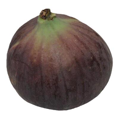 fresh无花果新鲜无花果